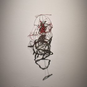 utérus, un organe d'homme ?