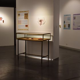 utérus, un organe d'homme ?