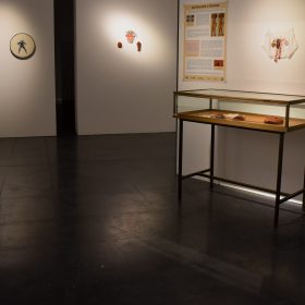 utérus, un organe d'homme ?