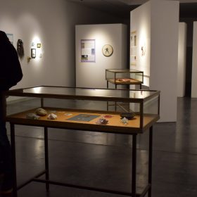 utérus un organe d'homme ?