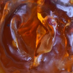 utérus, un organe d'homme ?
